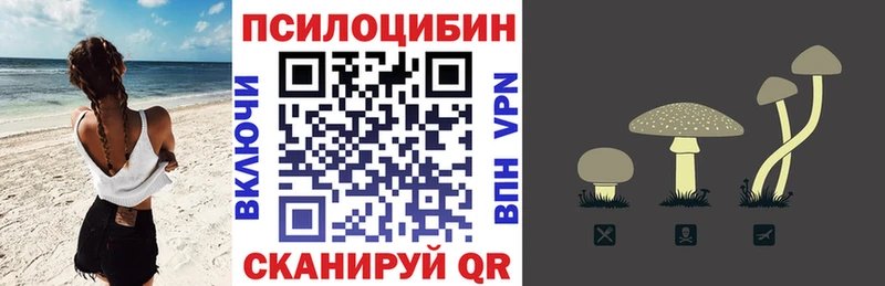 Псилоцибиновые грибы мицелий  Приморск 